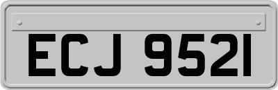 ECJ9521