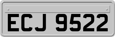 ECJ9522
