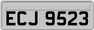 ECJ9523