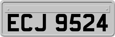 ECJ9524