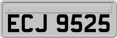 ECJ9525