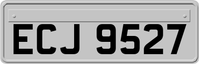 ECJ9527