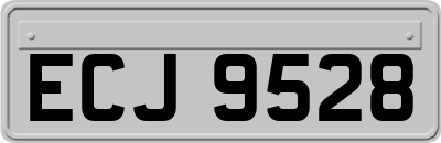 ECJ9528