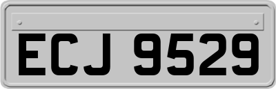 ECJ9529