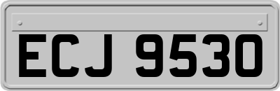 ECJ9530