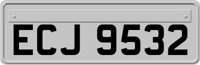 ECJ9532