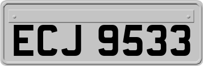 ECJ9533