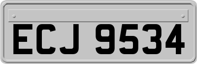 ECJ9534
