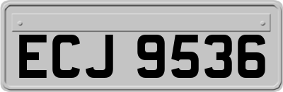 ECJ9536