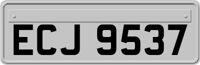 ECJ9537