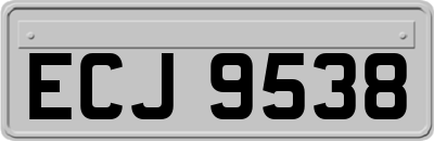 ECJ9538