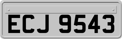 ECJ9543
