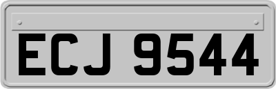 ECJ9544