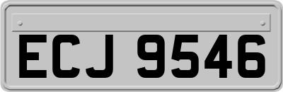ECJ9546