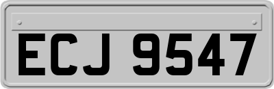 ECJ9547