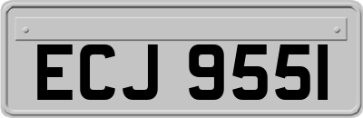 ECJ9551