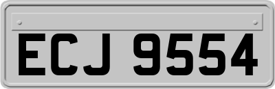 ECJ9554