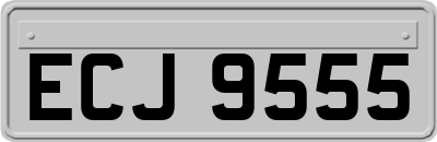 ECJ9555