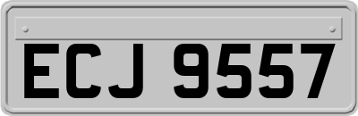 ECJ9557