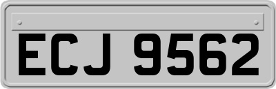 ECJ9562