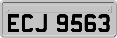 ECJ9563