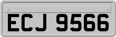 ECJ9566
