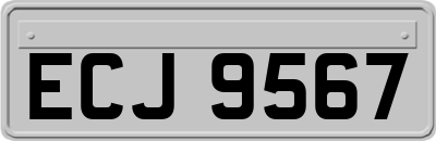 ECJ9567