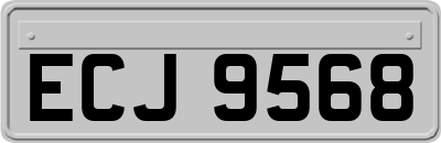 ECJ9568