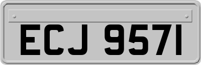 ECJ9571