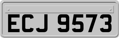 ECJ9573
