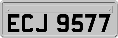 ECJ9577