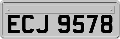 ECJ9578