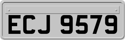 ECJ9579