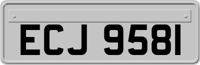 ECJ9581