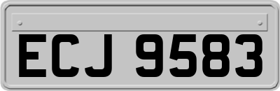 ECJ9583