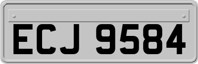 ECJ9584