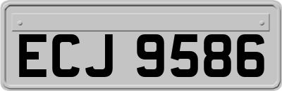ECJ9586