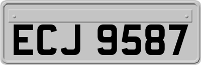 ECJ9587