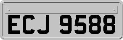 ECJ9588