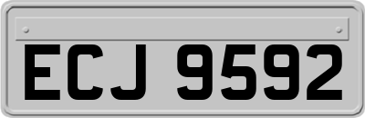 ECJ9592