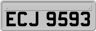 ECJ9593