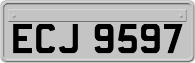 ECJ9597