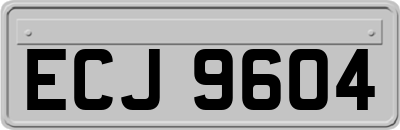ECJ9604