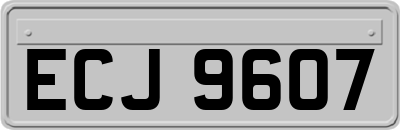 ECJ9607