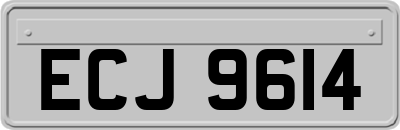 ECJ9614