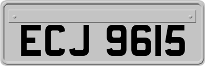 ECJ9615