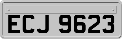 ECJ9623