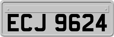 ECJ9624