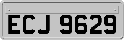ECJ9629