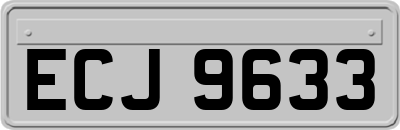 ECJ9633